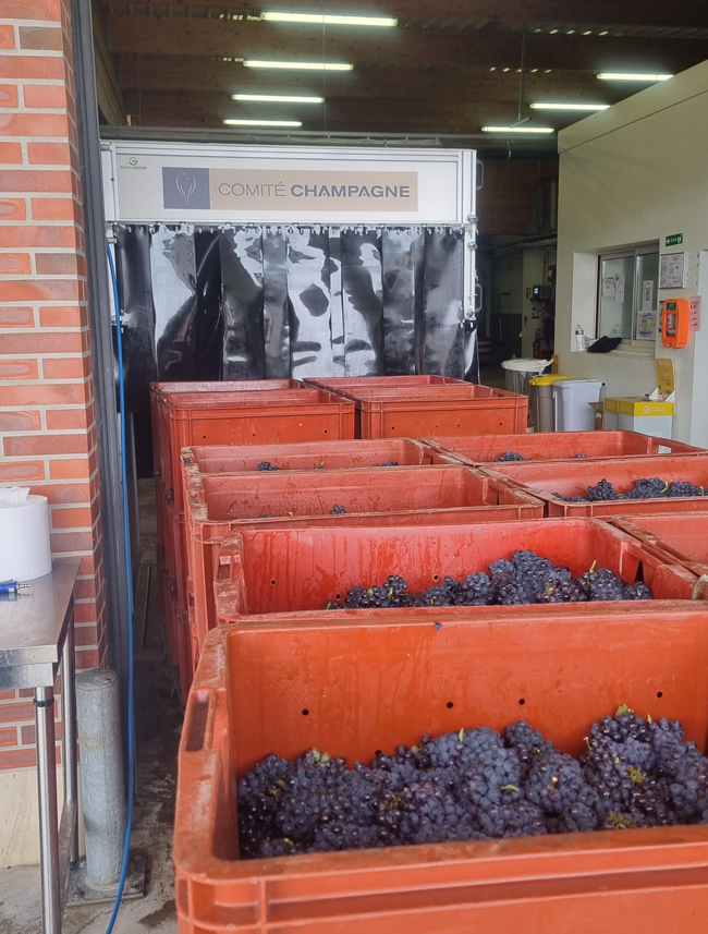 Le prototype QualivIA lors des vendanges 2025.