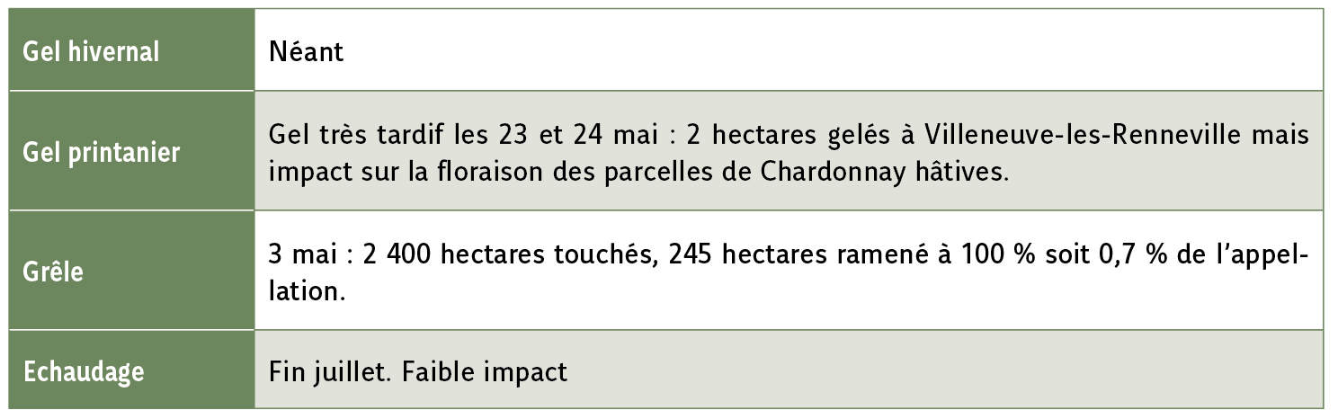 Tableau accidents climatiques 2025