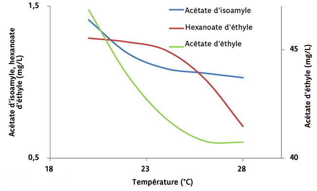 Figure 1. Impact de la température sur l’accumulation des esters en phase liquide. Source Mouret et al.