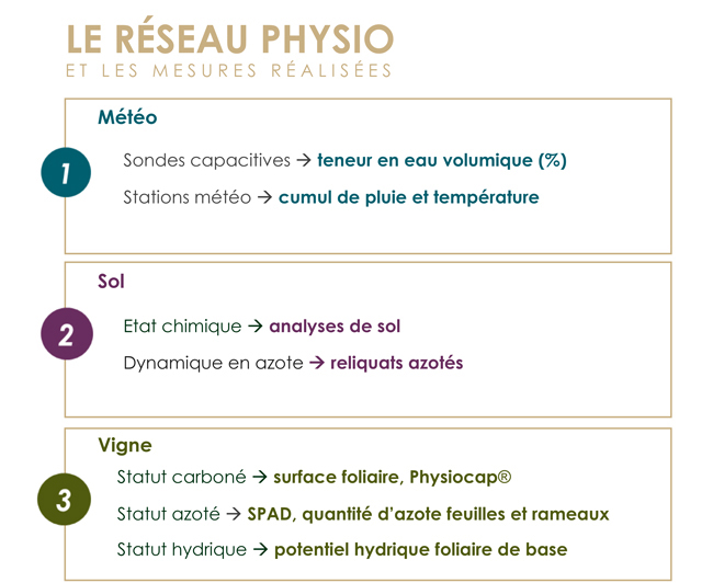 Diapo Le réseau physio et les mesures réalisées