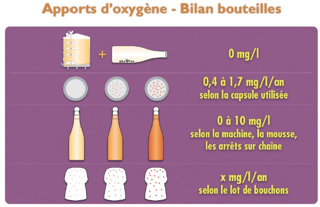 bilan apport bouteille