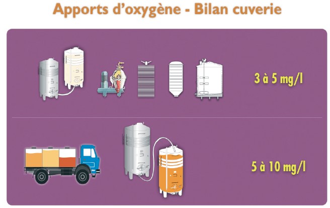 bilan apport cuverie