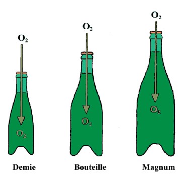 bouteilles