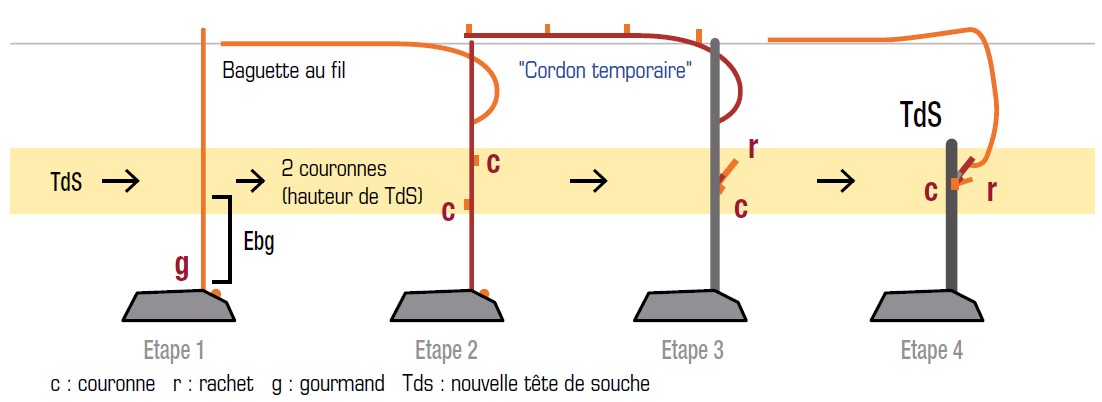 Statégie de base