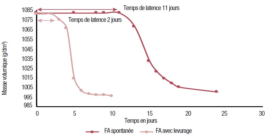 Figure 1. Suivi de l’évolution de la fermentation alcoolique réalisée soit spontanément soit par levurage (sur un même moût).