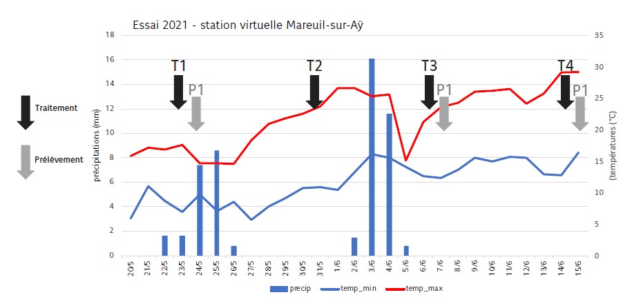 Figure 1. Conditions climatiques et positionnement des traitements (T) et des prélèvements (P) sur l’essai 2021 à Mareuil-sur-Aÿ.