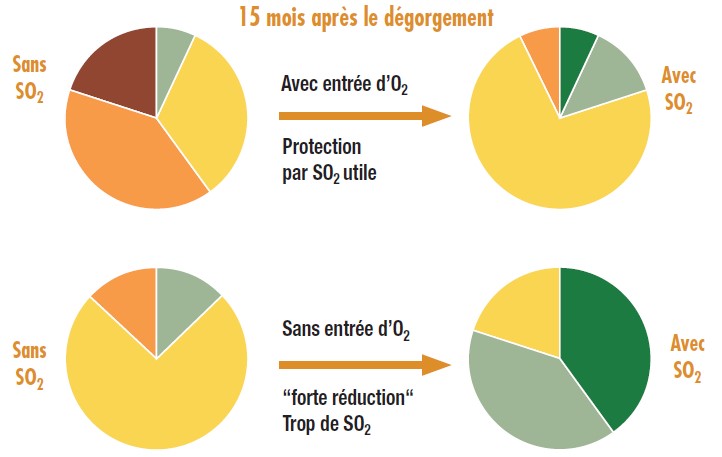 Figure 5. Influence de l’oxygène et du SO2 présents dans la bouteille après bouchage, sur l’évolution sensorielle des champagnes.