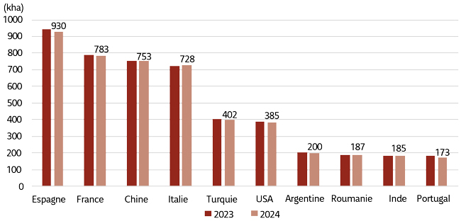 Figure 1. Superficie du vignoble en milliers d’hectares des 10 principaux pays viticoles et évolution 2023-2024.