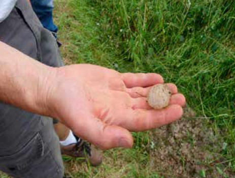 Grêlon d’environ 4 cm de diamètre trouvé à Chacenay le 27 mai 2018.