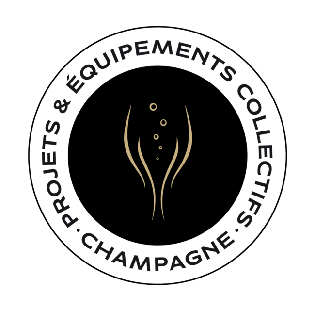 Logo CoPEC