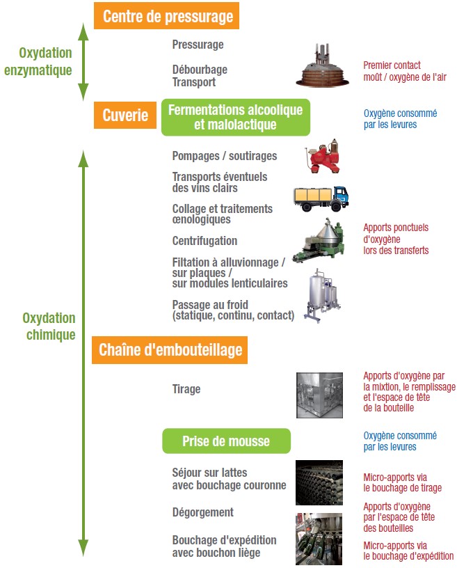 Figure 1. Schéma récapitulatif des interactions oxygène / vin dans la filière champenois