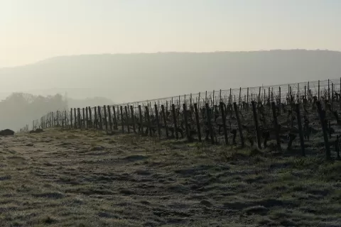 Paysage décembre Plumecoq