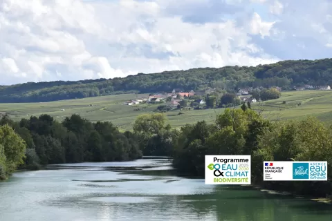 Photo de paysage vigne et fleuve