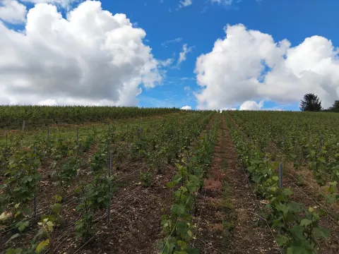 Photo de présentation de la météo d'avril 2025