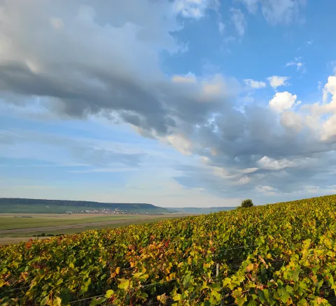 Photo d'un paysage en septembre