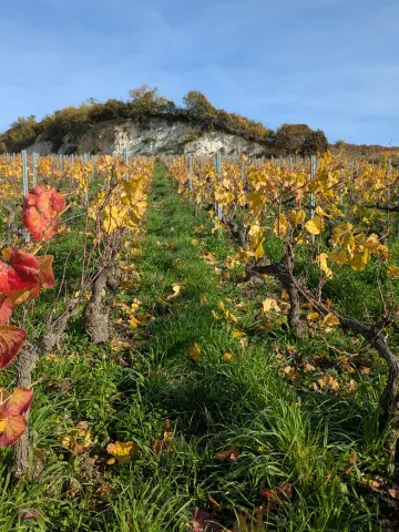 Photo de paysage début automne 