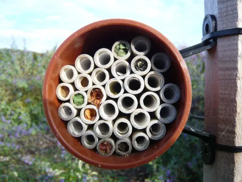 Photo de nichoir à insectes