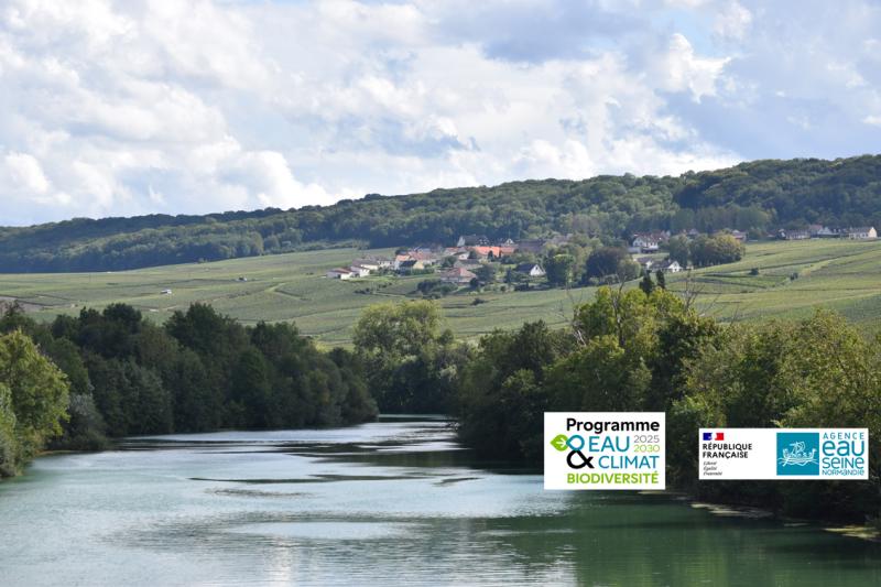 Photo de paysage vigne et fleuve