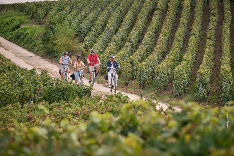 Photo d'Osmany Tavares - touristes à vélo dans les vignes