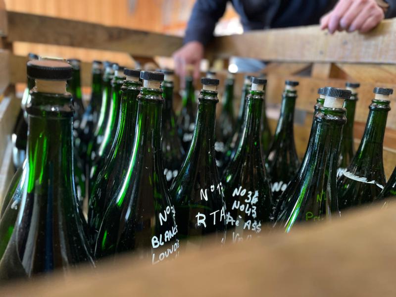 Photo de bouteille pour échantillonnage