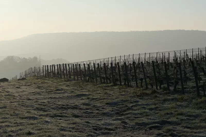 Paysage décembre Plumecoq