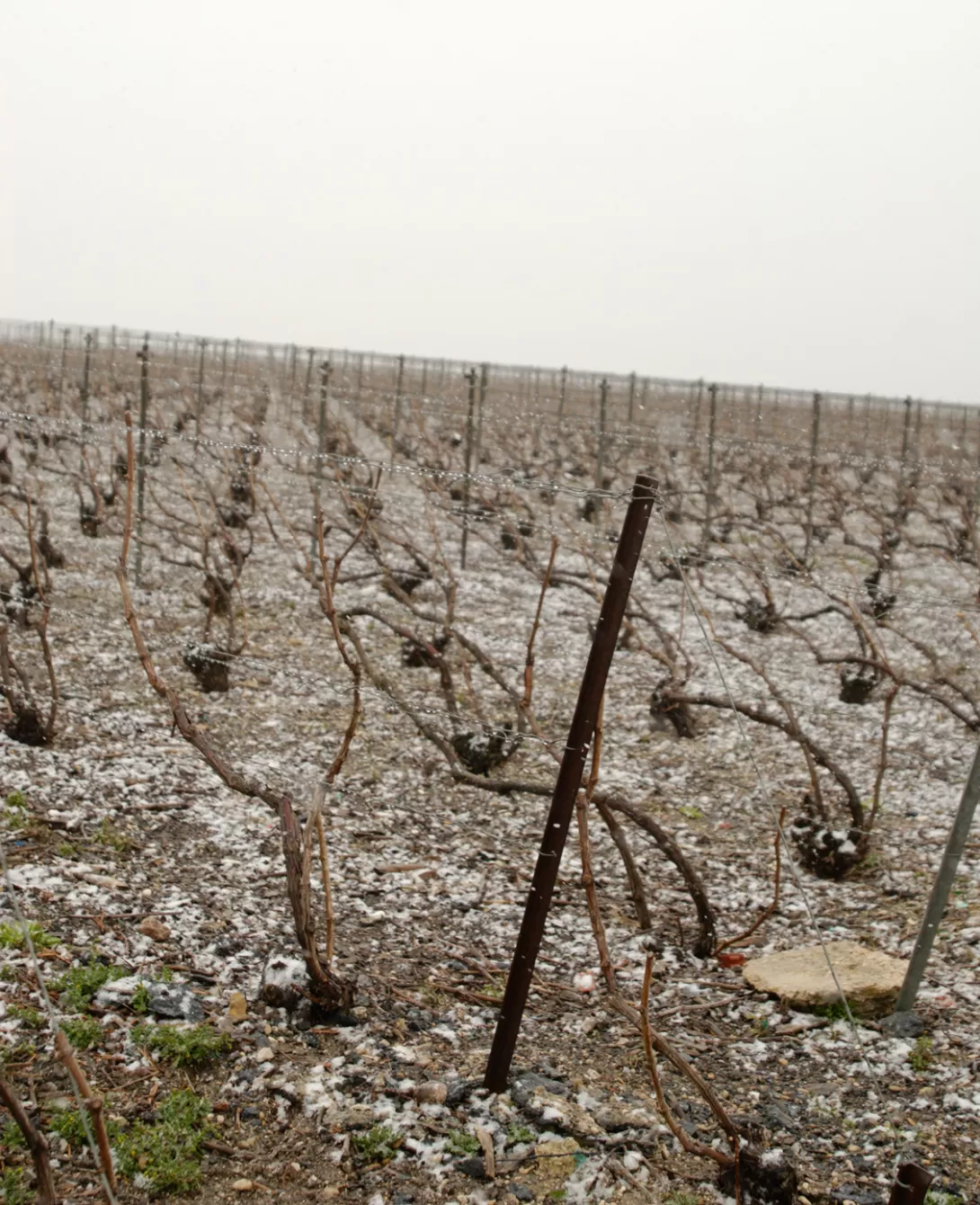 Photo de présentation chronique météo de décembre 2024