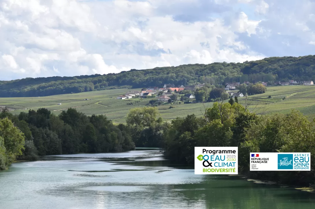 Photo de paysage vigne et fleuve