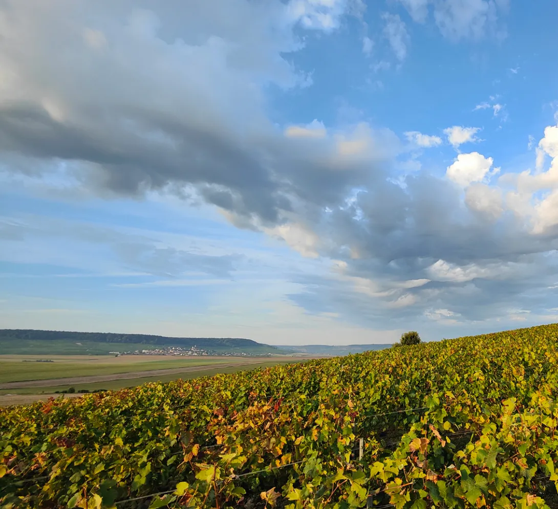 Photo d'un paysage en septembre