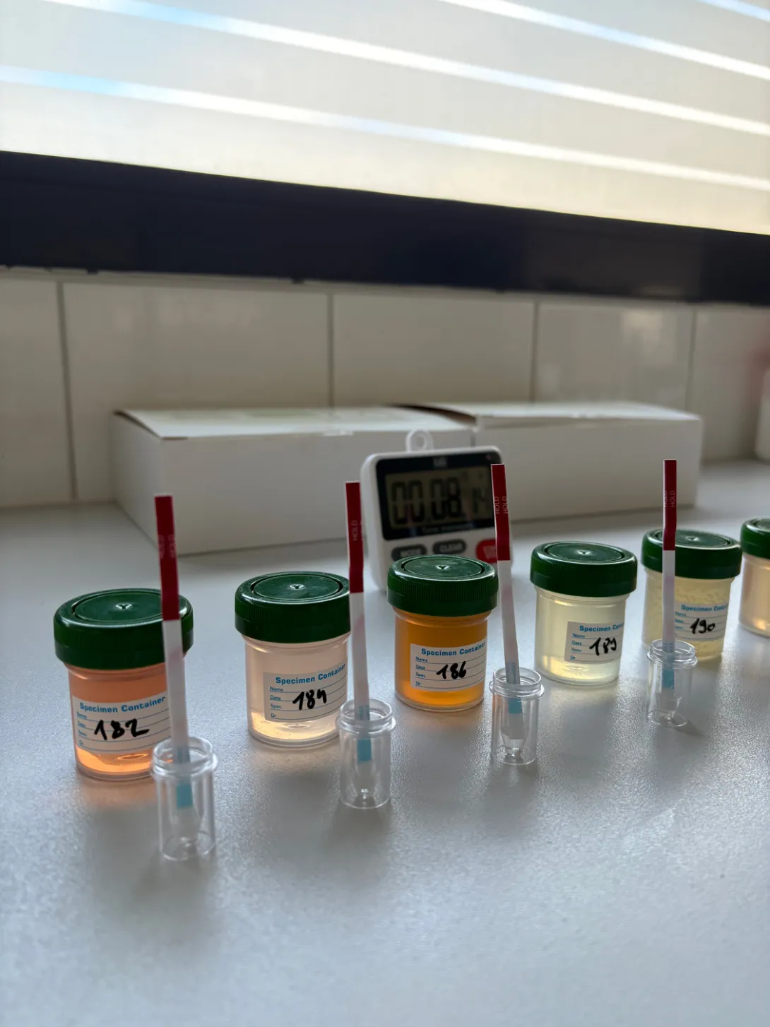 Photo d'échantillon avec bandelette immunologique contre Botrytis cinerea