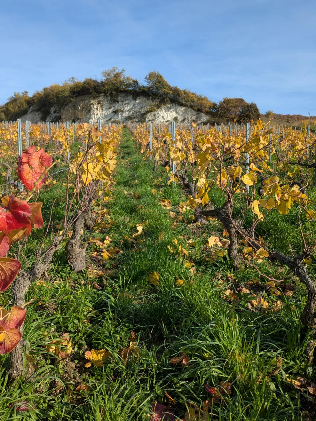 Photo de paysage début automne 