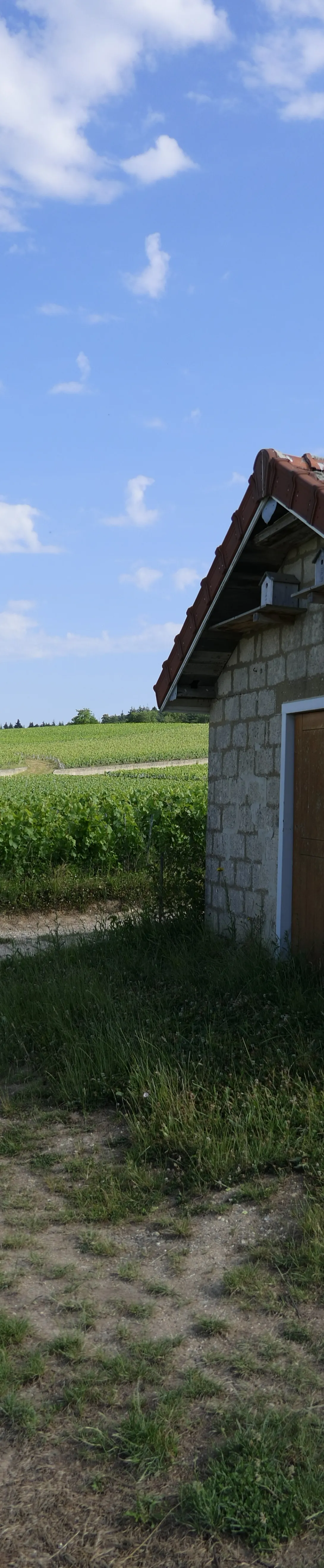 Photo du portique imagerie caisse de vendange